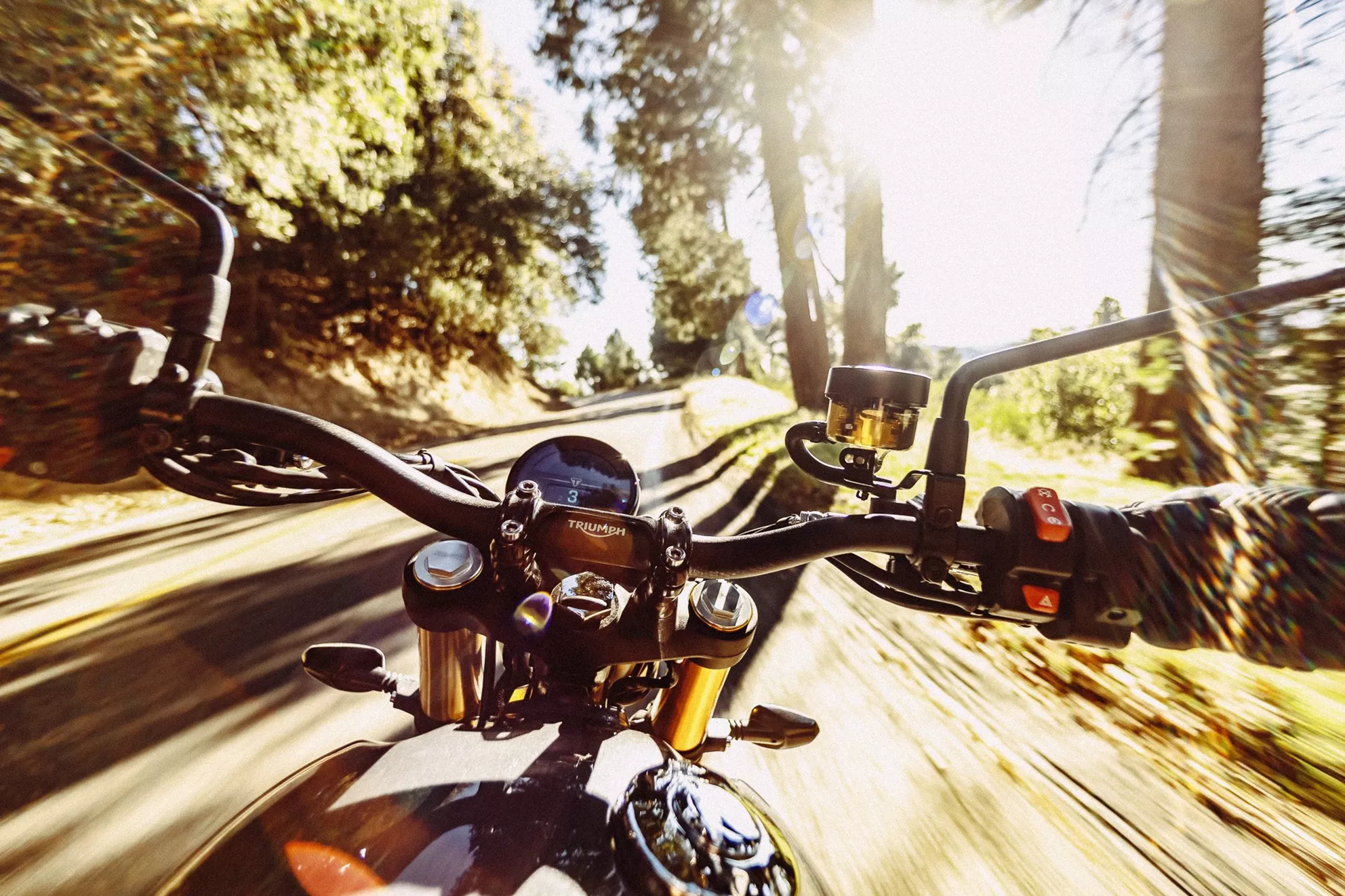 Triumph Scrambler 900