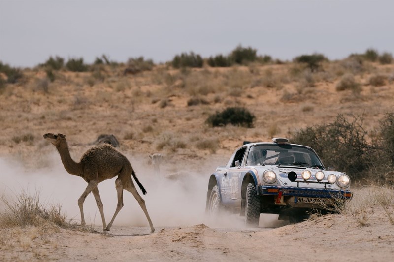 Africa Eco Race 2026 Etappe 10 - Die letzte große Prüfung