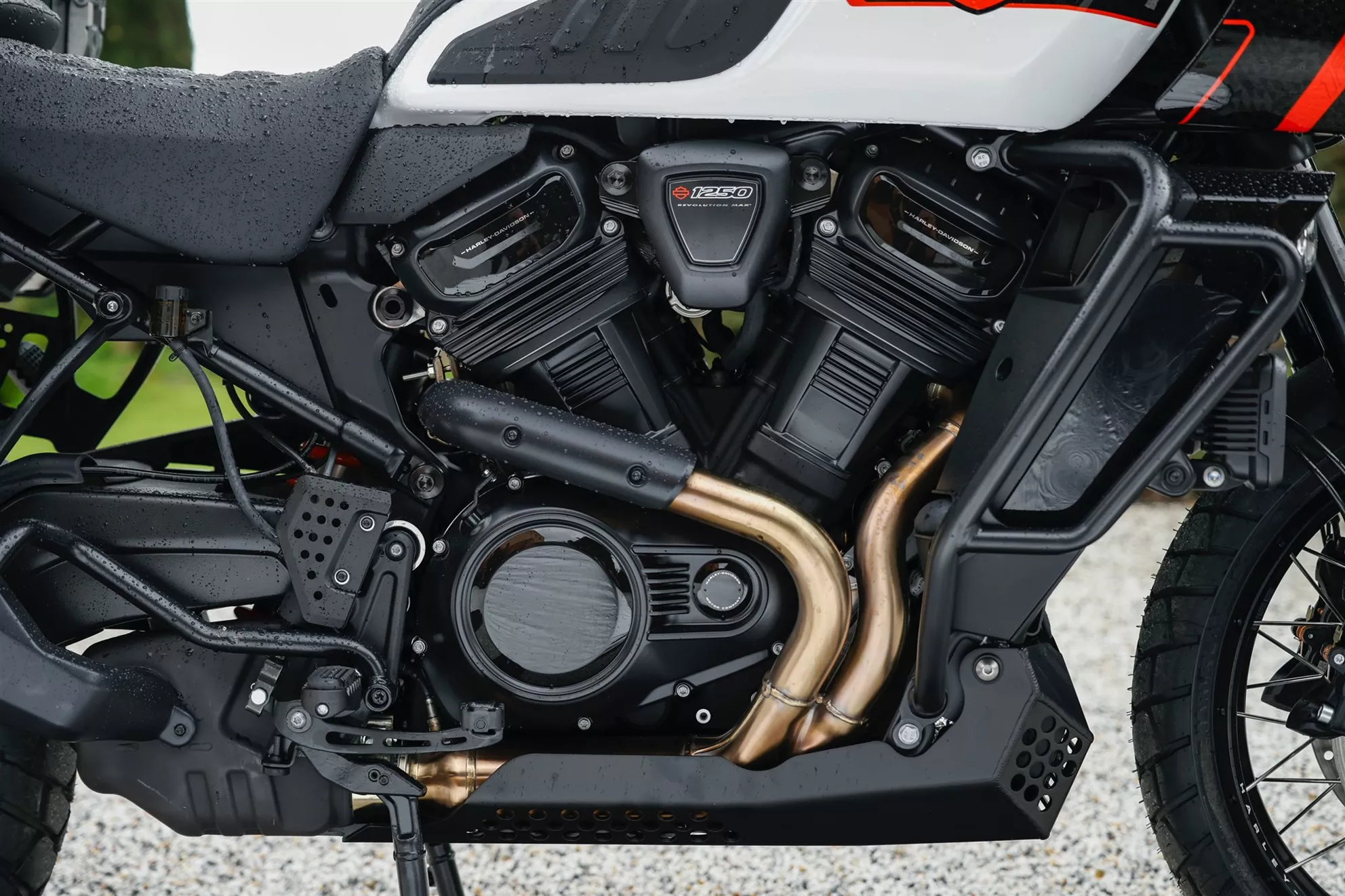 Harley-Davidson Revolution Max 1250