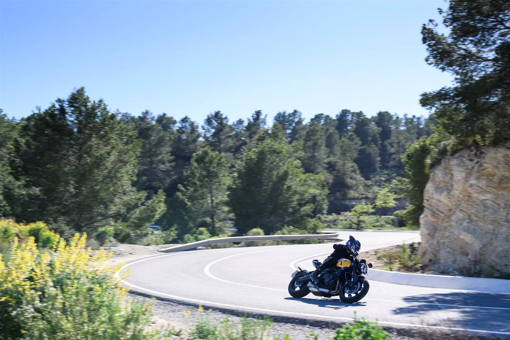 Triumph Trident 660 2026