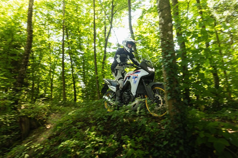 In flowigen, vorausschaubaren Passagen gleitet die Transalp so entspannt dahin, dass dieser Moment im Gedächtnis bleibt
