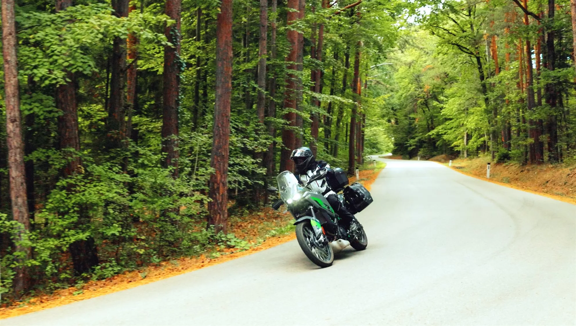 Kawasaki KLE 500 on a winding forest road at touring pace