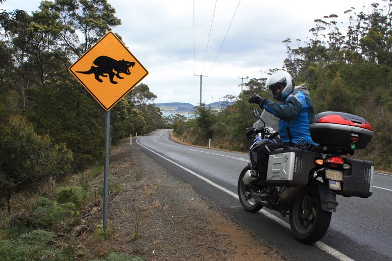 Tasmanian Devil Street Sign