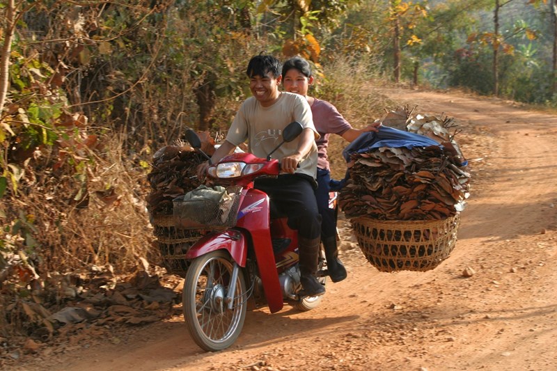 Transportmittel in Nord-Thailand