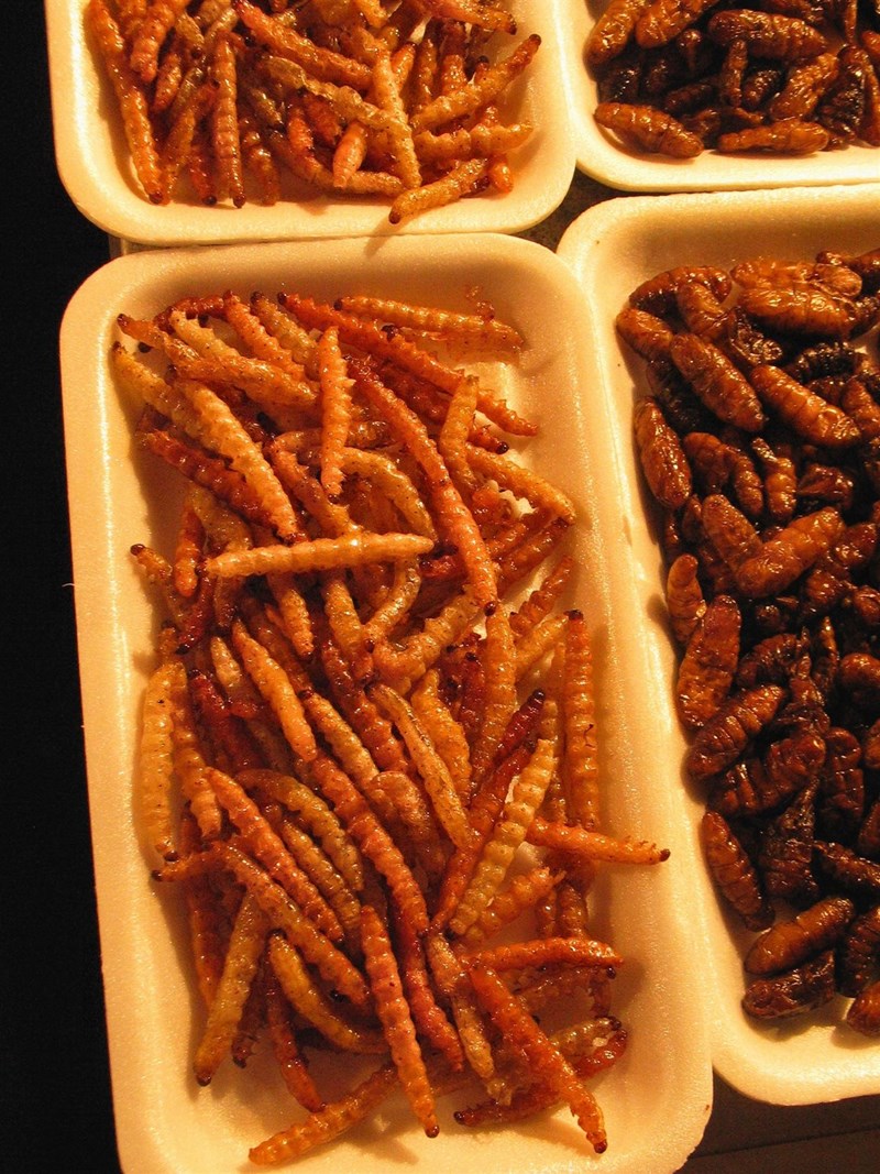 Gegrillte Bambuswürmer in Thailand