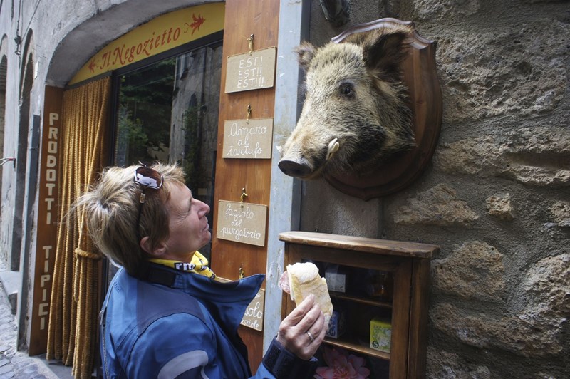 Trüffelschwein in Orvieto