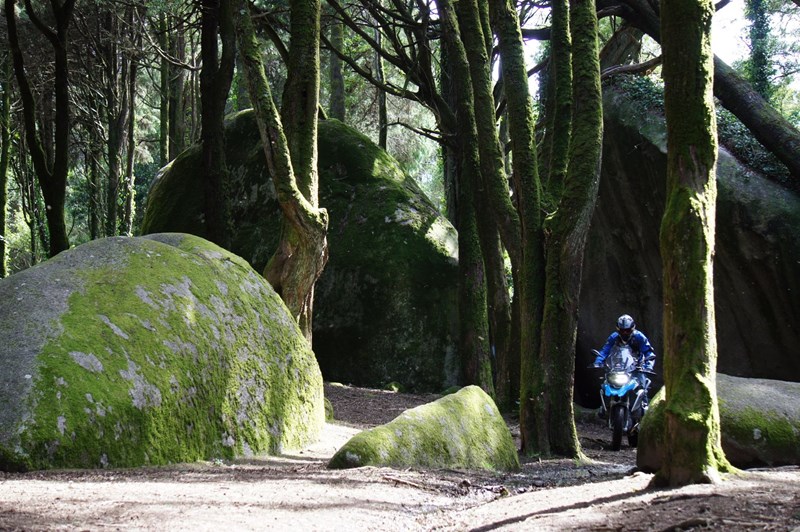 Parque Natural de Sintra-Cascais