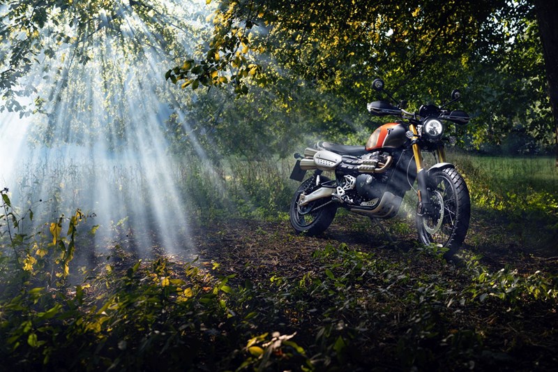 Triumph Scrambler 1200 XE Gold Line Edition Triumph Scrambler 1200 XE Gold Line Edition