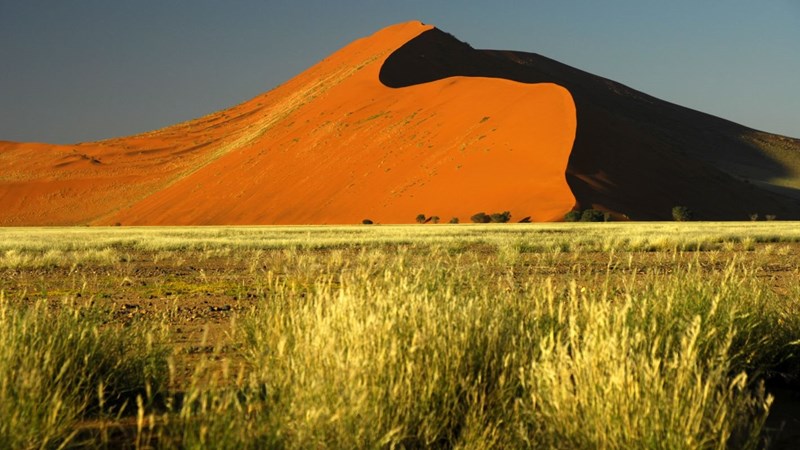 Die roten Dünen der Namib-Wüste