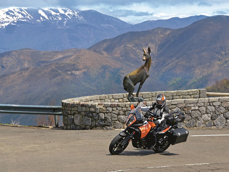 Hoch hinaus: Die Gipfel der nordspanischen Picos de Europa am Golf von Biscaya sind mehr als 2.500 Meter hoch. Feelgood Reisen kombiniert sie auf einer bis September buchbaren Motorradtour mit den Pyrenäen. © Feelgood Reisen