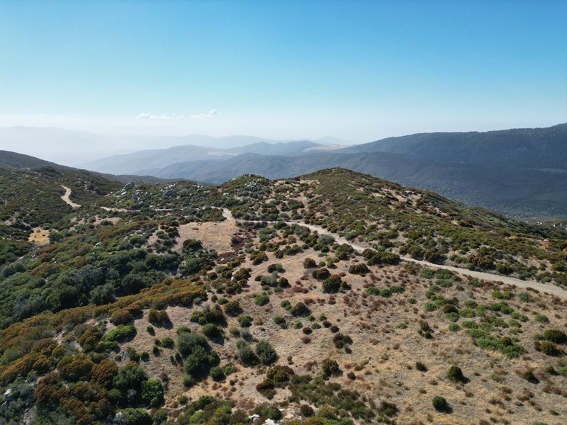 Palomar Mountains Kalifornien Palomar Mountains Kalifornien