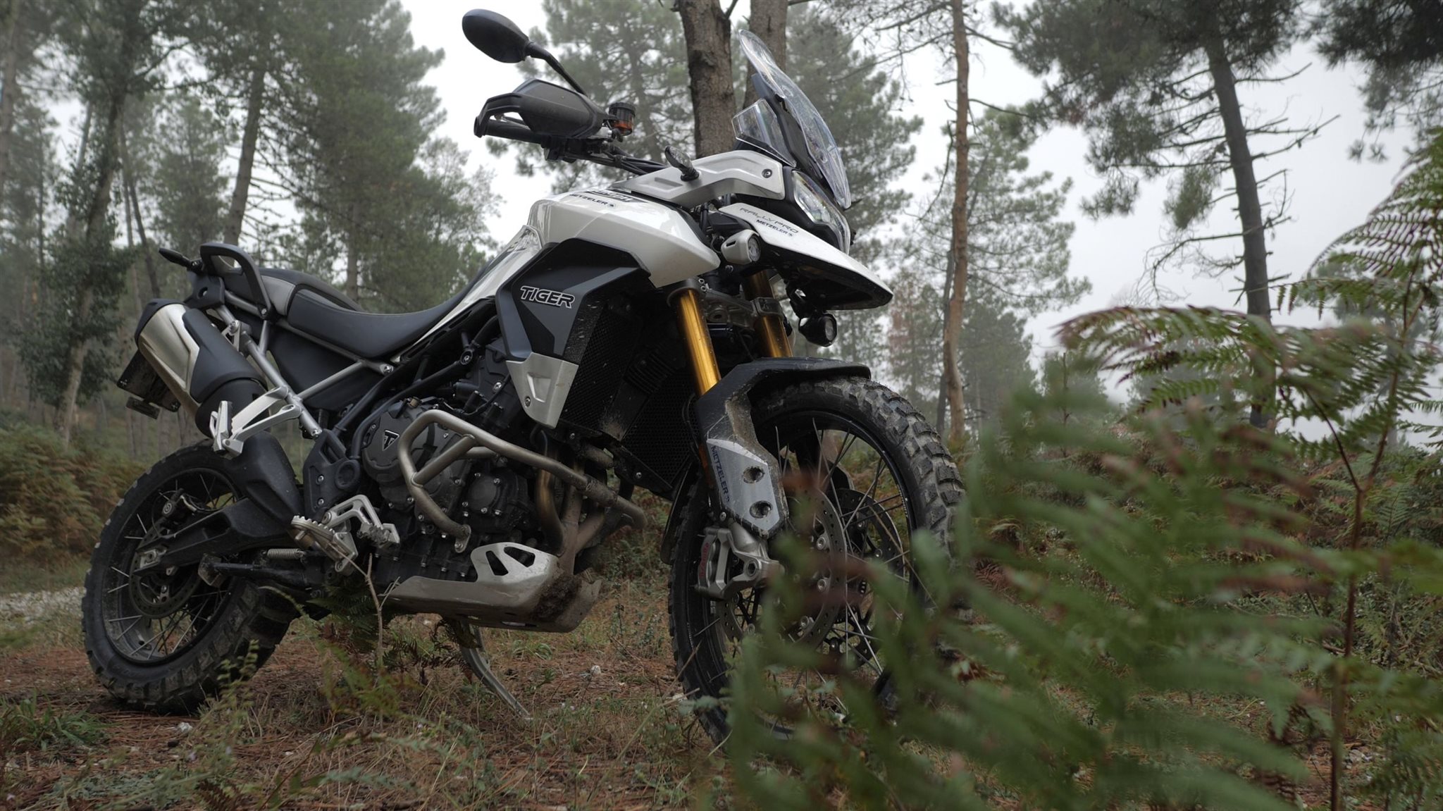 Triumph Tiger 900 Rally