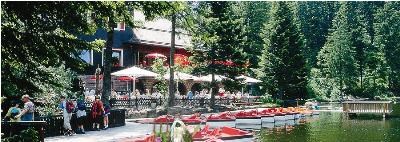 Hotel Cafe Restaurant Mummelsee im Schwarzwald