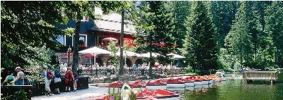 Hotel Cafe Restaurant Mummelsee im Schwarzwald Bild 1: Hotel Cafe Restaurant Mummelsee im Schwarzwald