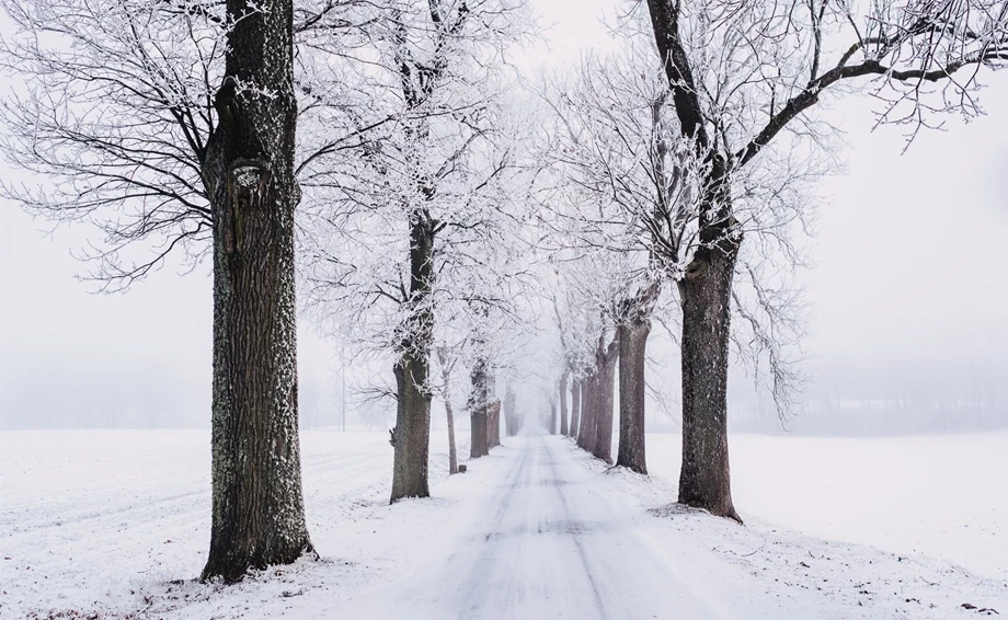 Fahrzeugaufbereitung/ Wintereinlagerung Bild 1: Fahrzeugaufbereitung/ Wintereinlagerung