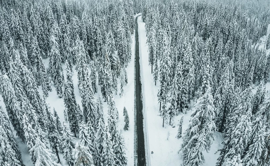 Überwintern Sie mit uns Bild 1: Überwintern Sie mit uns