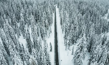ÜBERWINTERUNG ÜBERWINTERUNG