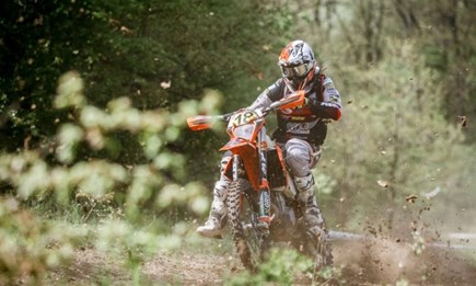 Mario Hirschmugl - Ausbau Gesamtführung Ungarn