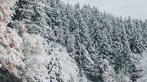 Motorradüberwinterung Motorradüberwinterung