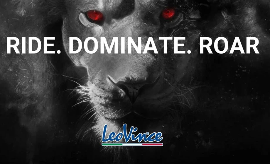 LeoVince Bild 2: LeoVince