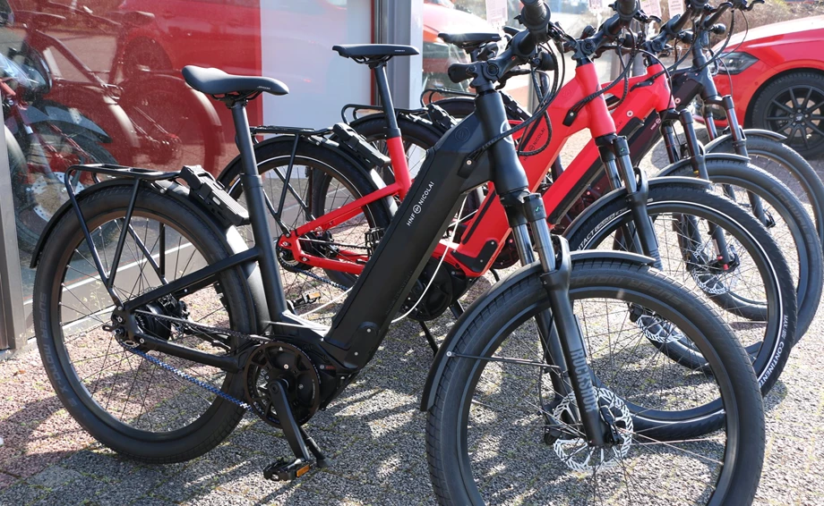 HNF - Nicolai Bild 2: HNF - Nicolai