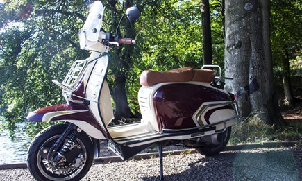 GP vs TG - die Unterschiede