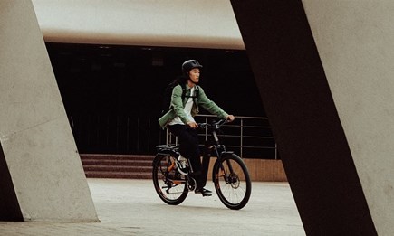 Trekking-Ebikes Trekking-Ebikes