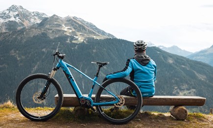 E-MTB Hardtrail E-MTB Hardtrail