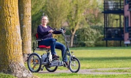 Elektro Mobil Dreirad Elektro Mobil Dreirad