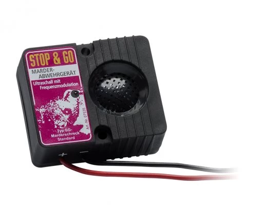 Marderschäden vermeiden  Bild 1: Marderschäden vermeiden