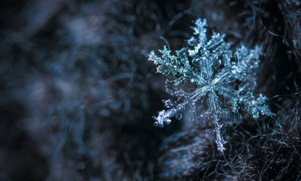 Winterlagerung Winterlagerung