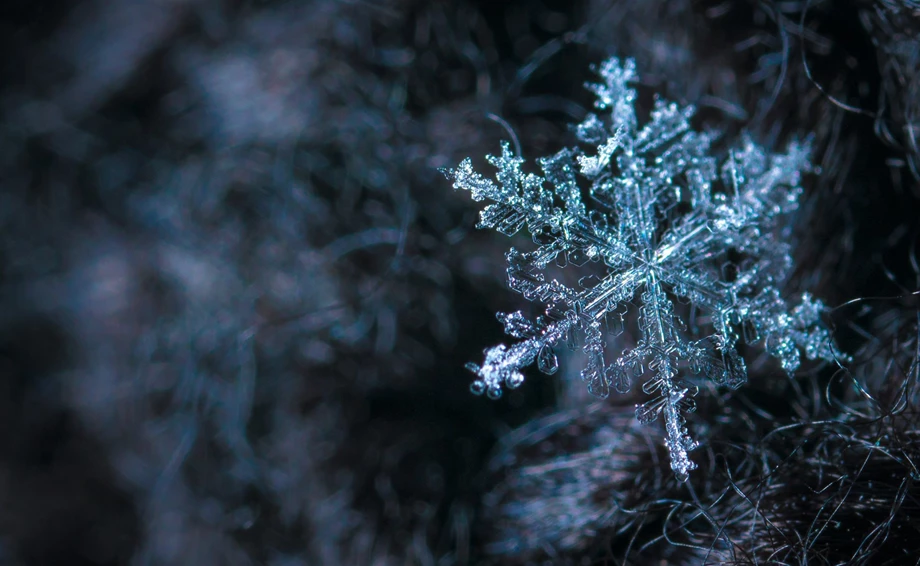 Winterlagerung Bild 1: Winterlagerung