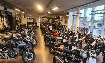 IL MOTO  IL MOTO