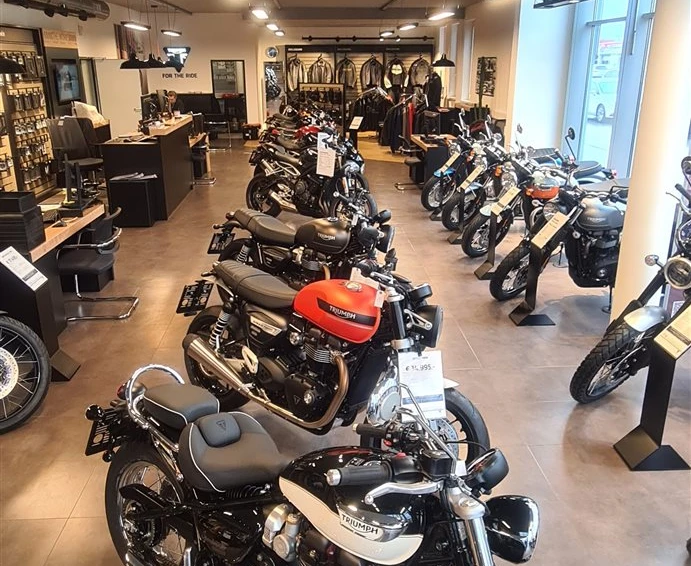 IL MOTO  Bild 2: IL MOTO