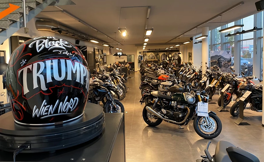 IL MOTO  Bild 4: IL MOTO