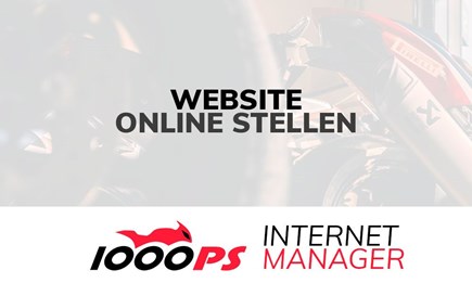 Website online stellen