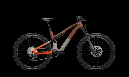 HAIBIKE LYKE CF 10 430 12G 29 Zoll RIDE 60  FAZU  Aktion €5.950,- statt 6.999,00 €