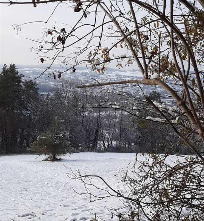 In den Wintermonaten stehen keine Vermietfahrzeuge zur Verfügung