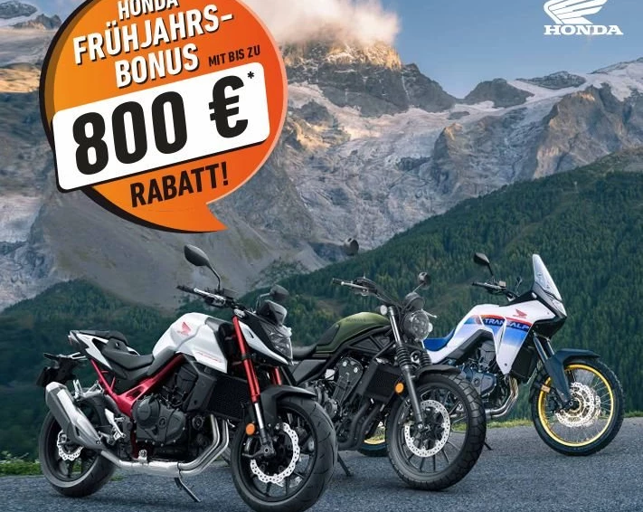 Frühjahrsaktion Bild 1: Frühjahrsaktion