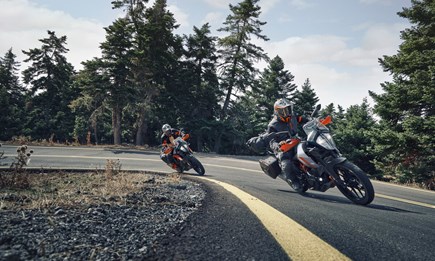 Lebe Deinen Traum - Verleih Optionen