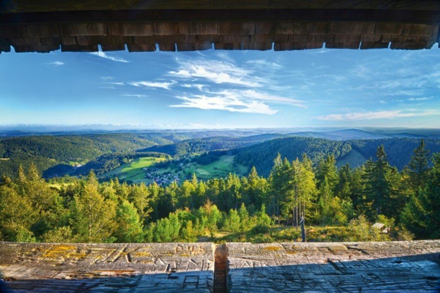 DER SÜDSCHWARZWALD