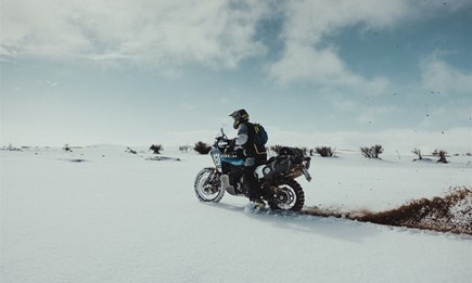 Überwinterungsangebot