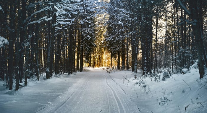 Motorradüberwinterung 