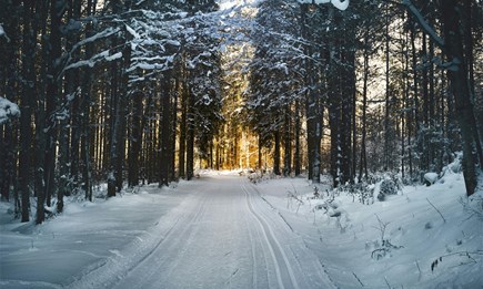 Motorradüberwinterung