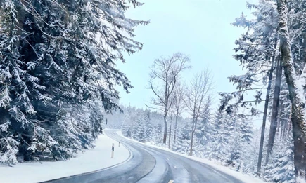 Wintereinlagerung Wintereinlagerung