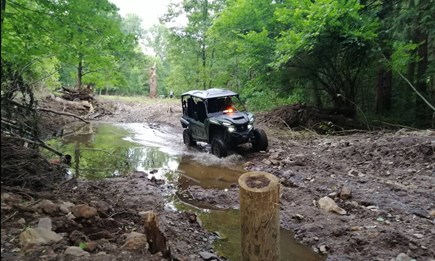 Jagd- und Forstwirtschaft