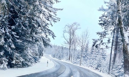 Einlagerung & Überwinterung
