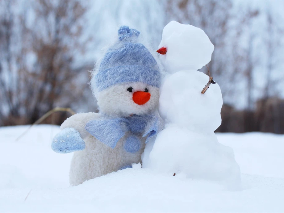 Wintereinlagerung mit Frühjahrscheck Bild 1: Wintereinlagerung mit Frühjahrscheck