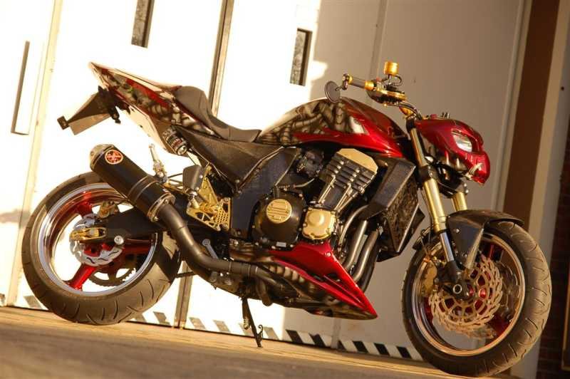 Z1000 Cyborg (Kawasaki Z1000 04)