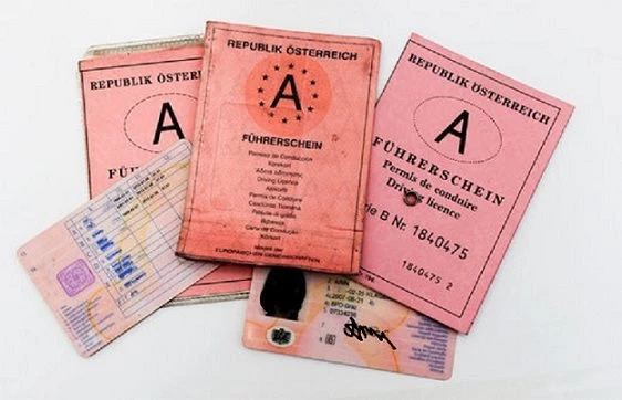 Führerscheinrichtlinien Bild 1: Führerscheinrichtlinien